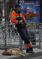 Cynologist with a dog