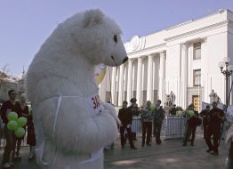 Bear