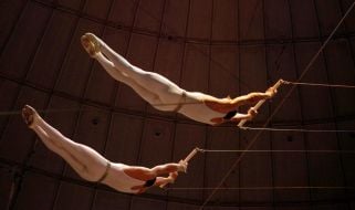 Aerialists