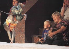 Monkey performs a circus act