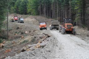 Building of forest road