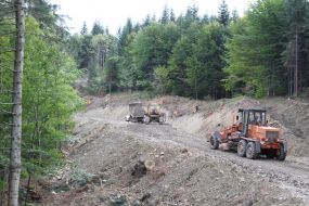 Building of forest road