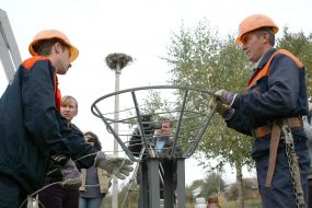 Специальная металлическая платфома для гнезда аистов