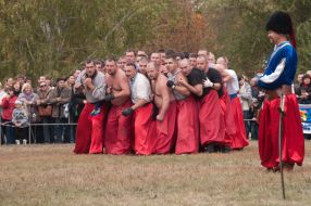 Festival competitors