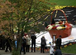 Enormous basket with chrysanthemums