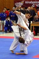 Open Cup of Ukraine in Kyokushin Karate