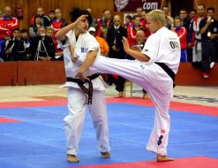 VII European Kyokushinkai karate Championship