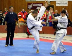 Open Cup of Ukraine in Kyokushin Karate
