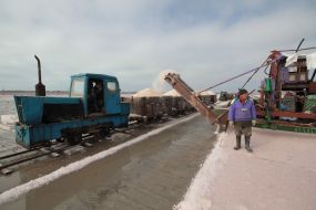 Marine salt mining on Sasyk-Sivash lake