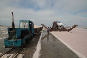 Marine salt mining on Sasyk-Sivash lake