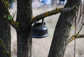 Чайник на ветке дерева