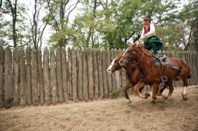 Zaporozhias cossacks equestrian theater 