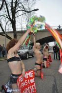 Topless action FEMEN in Switzerland