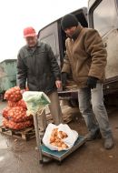 Продажа лука