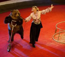 Shaw drove the bears