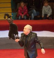 Trained dogs Peter Prostetsova