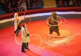 Шоу «Ехали медведи»