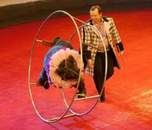 Шоу «Ехали медведи»