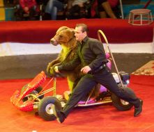 Шоу «Ехали медведи»