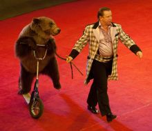 Шоу «Ехали медведи»