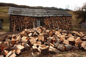 Harvested wood
