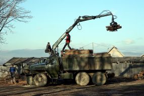 Workers load the truck on wood