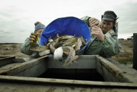 Workers of fish industry