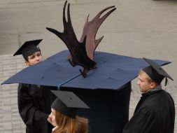 Square academic cap with horns