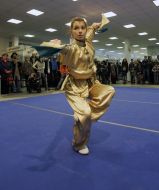 Wushu show