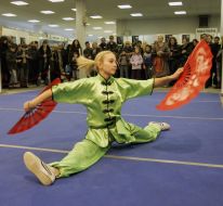 Wushu show