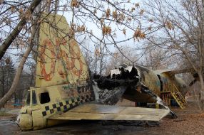 Згорілий літак АН-12