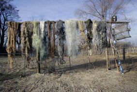 Withdrawn poaching fishing seine