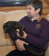 Igor Kalchenko holding a baby leopard