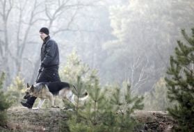 Cynologists conduct dog