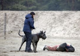 Cynologists with dog