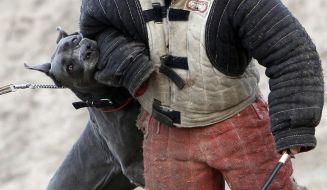 Cynologists with dog