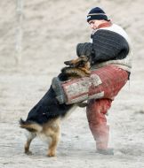 Cynologists with dog