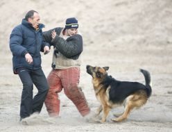 Cynologists with dog