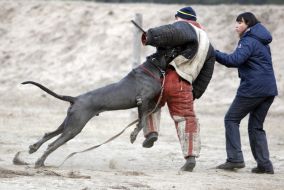Cynologists with dog