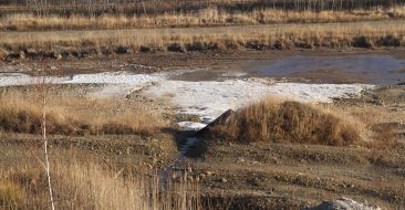 Salt, which leaked out from tailing dump 