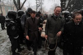 Олег Ляшко и Иван Заец возле коровы