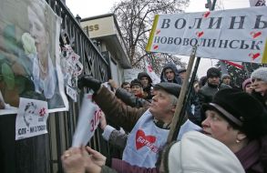 Supporters of Timoshenko