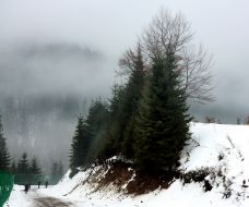 The ice-covered road