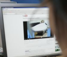 Video cameras of Yuliya Timoshenko