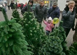 Buyers choose artificial fir-trees
