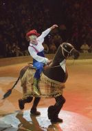 Circus "Old New Tale"