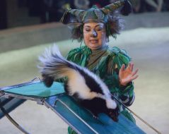 Циркова вистава «Стара нова казка»