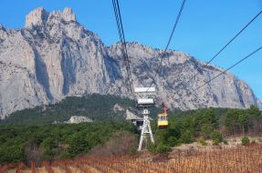 Snow-bound pine-trees on the Ai-Petri mountain
