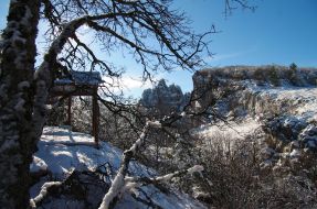Snow-bound pine-trees on the Ai-Petri mountain