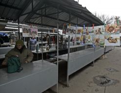 Placards with representing dogs at the market